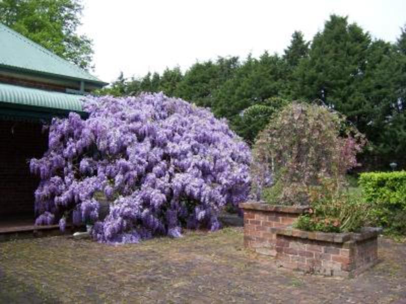 Heronswood House B & B Moss Vale Exterior photo